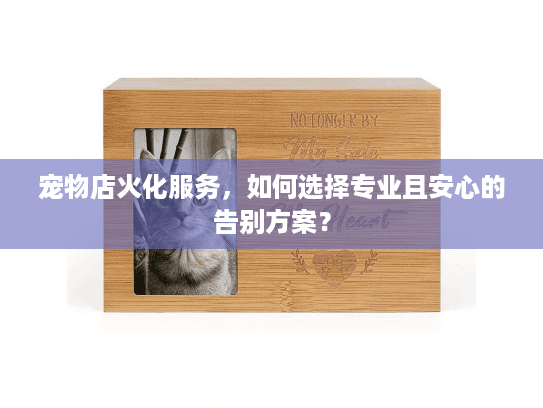 宠物店火化服务，如何选择专业且安心的告别方案？