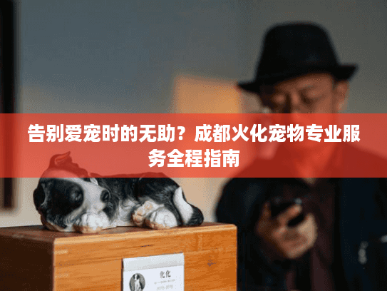 告别爱宠时的无助？成都火化宠物专业服务全程指南