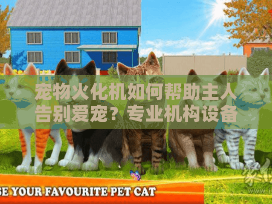 宠物火化机如何帮助主人告别爱宠？专业机构设备对比指南