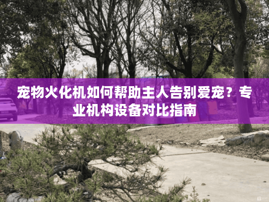 宠物火化机如何帮助主人告别爱宠？专业机构设备对比指南