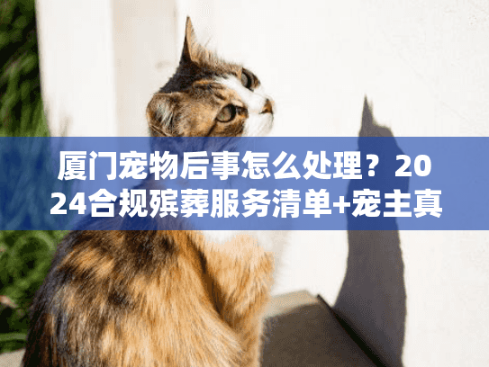 厦门宠物后事怎么处理?2024合规殡葬服务清单+宠主真实避坑案例 厦门宠物后事怎么处理?2024合规殡葬服务清单+宠主真实避坑案例