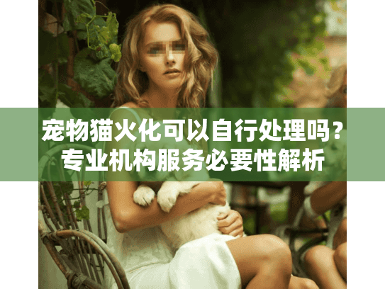 宠物猫火化可以自行处理吗？专业机构服务必要性解析