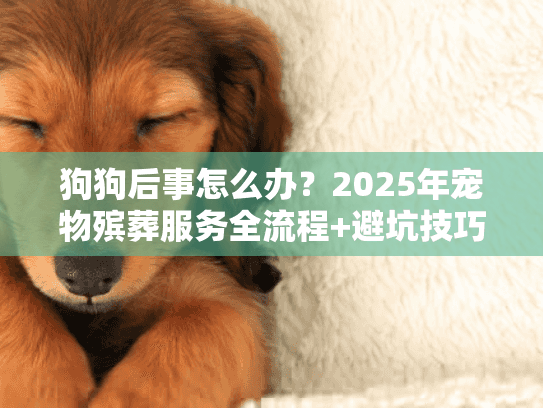 狗狗后事怎么办？2025年宠物殡葬服务全流程+避坑技巧（附机构选择清单）