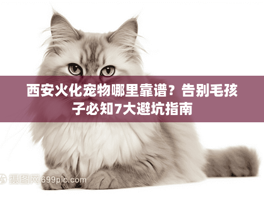 西安火化宠物哪里靠谱？告别毛孩子必知7大避坑指南