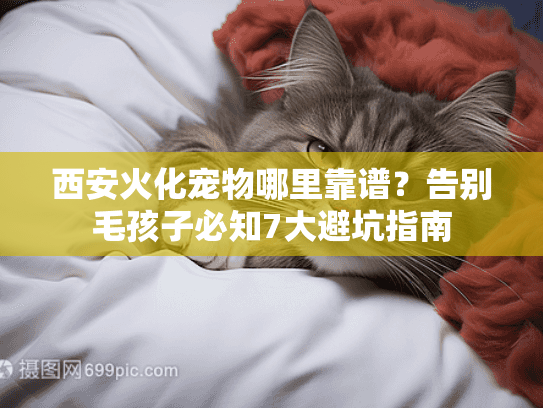 西安火化宠物哪里靠谱？告别毛孩子必知7大避坑指南