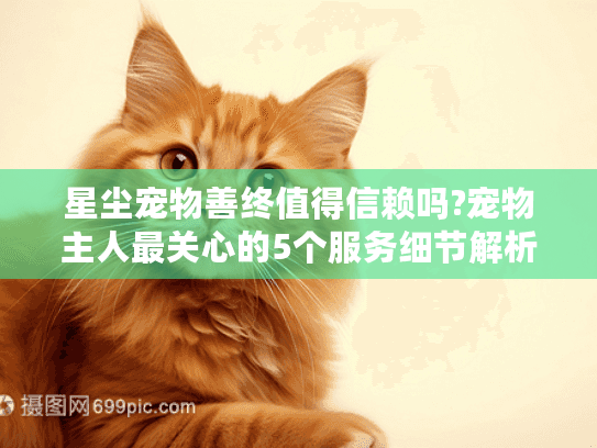 星尘宠物善终值得信赖吗?宠物主人最关心的5个服务细节解析