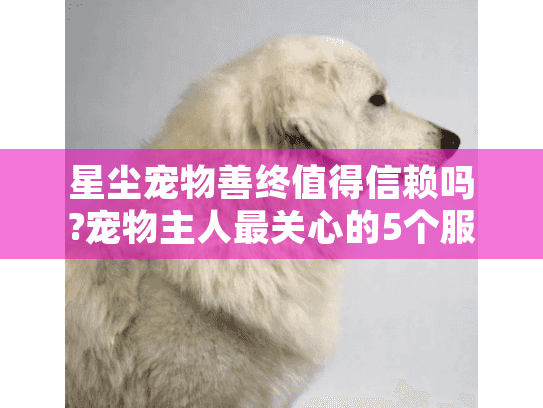 星尘宠物善终值得信赖吗?宠物主人最关心的5个服务细节解析