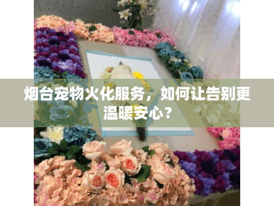 烟台宠物火化服务，如何让告别更温暖安心？