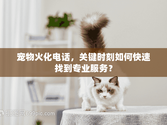 宠物火化电话，关键时刻如何快速找到专业服务？