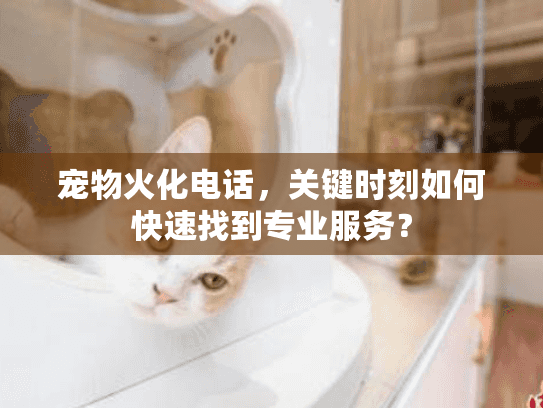 宠物火化电话，关键时刻如何快速找到专业服务？