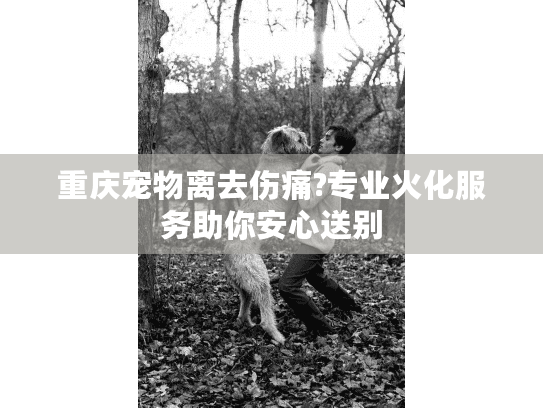 重庆宠物离去伤痛?专业火化服务助你安心送别