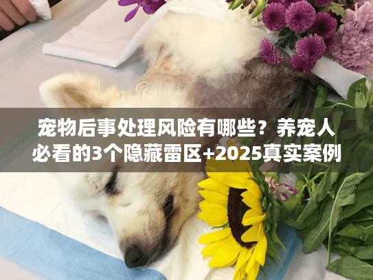 宠物后事处理风险有哪些？养宠人必看的3个隐藏雷区+2025真实案例拆解