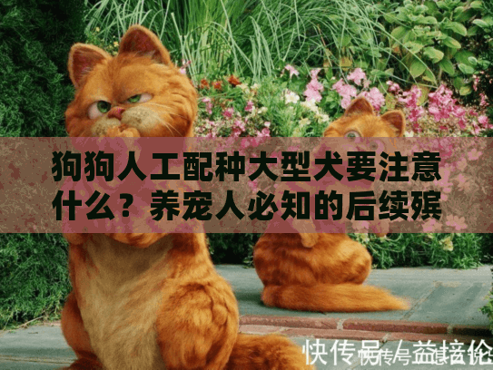 狗狗人工配种大型犬要注意什么？养宠人必知的后续殡葬准备