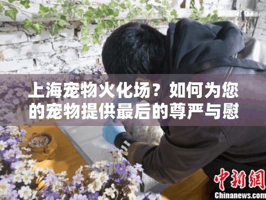 上海宠物火化场？如何为您的宠物提供最后的尊严与慰藉