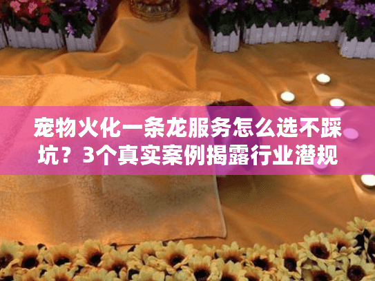 宠物火化一条龙服务怎么选不踩坑？3个真实案例揭露行业潜规则