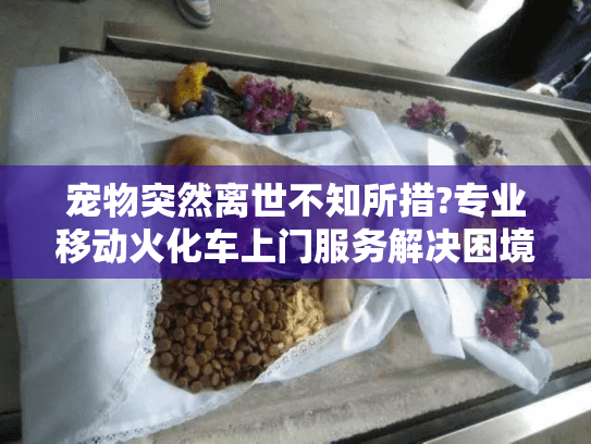宠物突然离世不知所措?专业移动火化车上门服务解决困境
