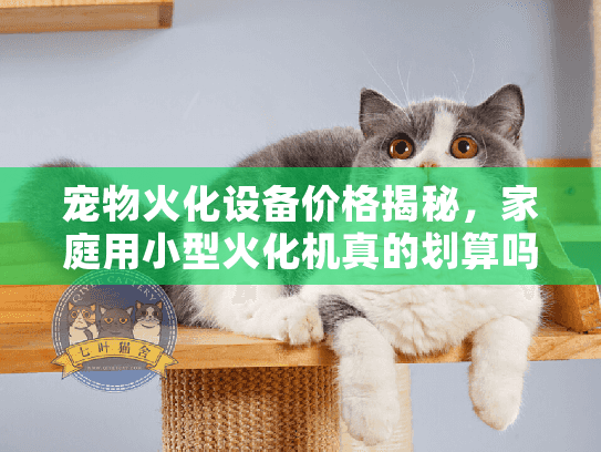 宠物火化设备价格揭秘，家庭用小型火化机真的划算吗？