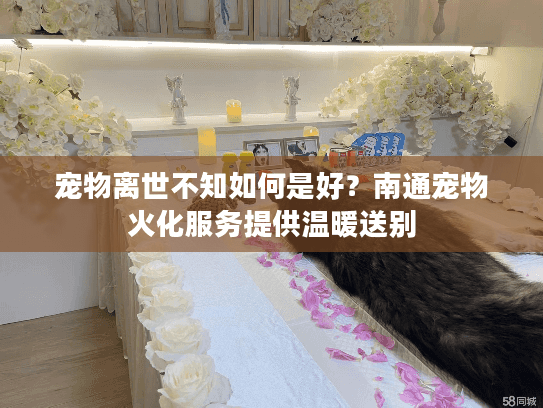宠物离世不知如何是好？南通宠物火化服务提供温暖送别
