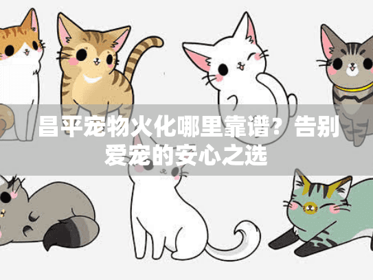 昌平宠物火化哪里靠谱？告别爱宠的安心之选