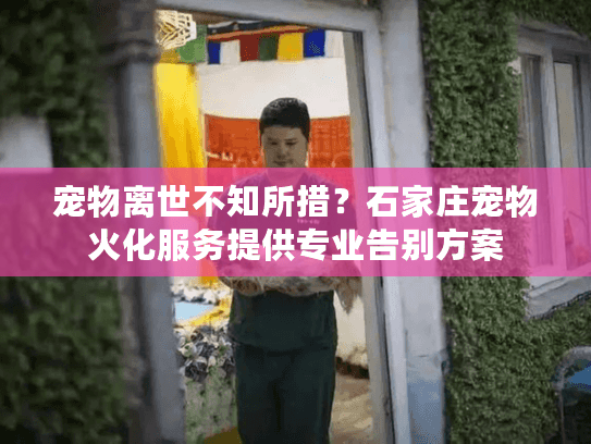 宠物离世不知所措？石家庄宠物火化服务提供专业告别方案