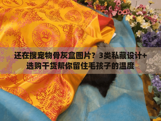 还在搜宠物骨灰盒图片？3类私藏设计+选购干货帮你留住毛孩子的温度
