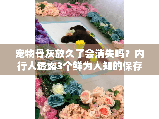 宠物骨灰放久了会消失吗？内行人透露3个鲜为人知的保存真相与服务避坑法