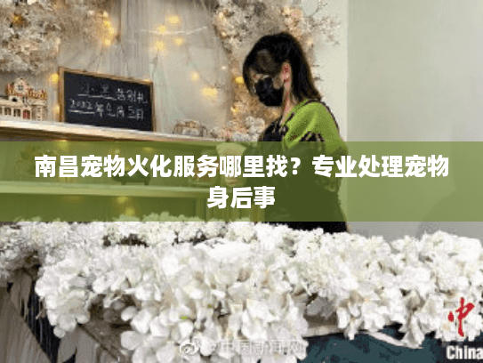 南昌宠物火化服务哪里找？专业处理宠物身后事