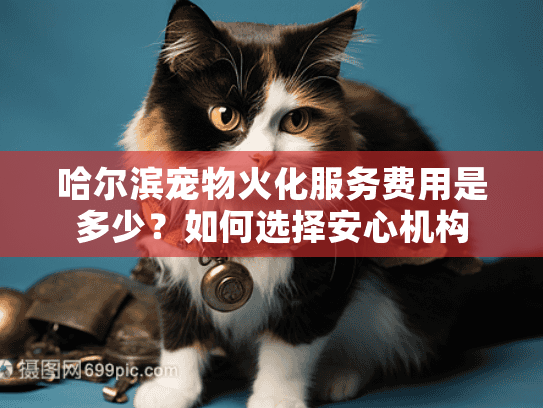 哈尔滨宠物火化服务费用是多少？如何选择安心机构