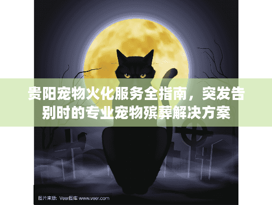 贵阳宠物火化服务全指南，突发告别时的专业宠物殡葬解决方案