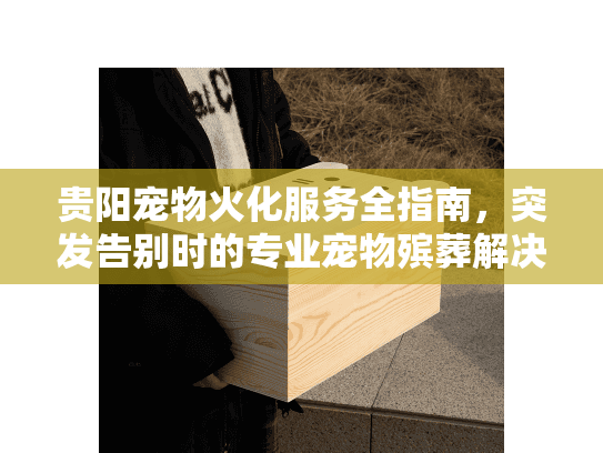 贵阳宠物火化服务全指南，突发告别时的专业宠物殡葬解决方案