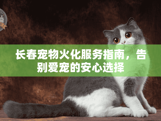 长春宠物火化服务指南，告别爱宠的安心选择