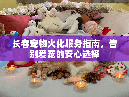 长春宠物火化服务指南，告别爱宠的安心选择