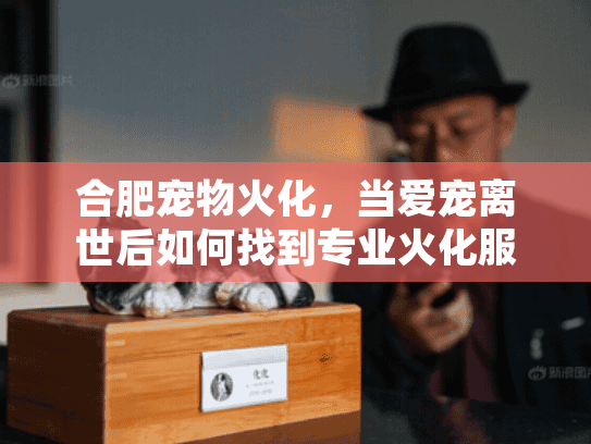 合肥宠物火化，当爱宠离世后如何找到专业火化服务？