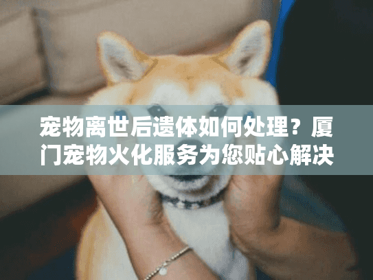 宠物离世后遗体如何处理？厦门宠物火化服务为您贴心解决