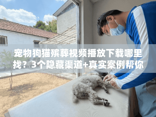 宠物狗猫殡葬视频播放下载哪里找？3个隐藏渠道+真实案例帮你选对服务