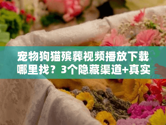 宠物狗猫殡葬视频播放下载哪里找？3个隐藏渠道+真实案例帮你选对服务