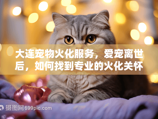 大连宠物火化服务，爱宠离世后，如何找到专业的火化关怀？