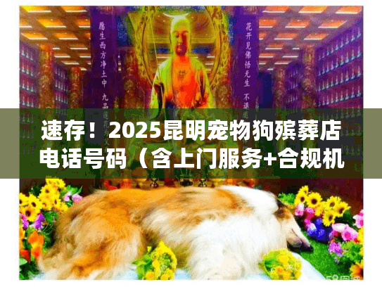 速存！2025昆明宠物狗殡葬店电话号码（含上门服务+合规机构推荐）