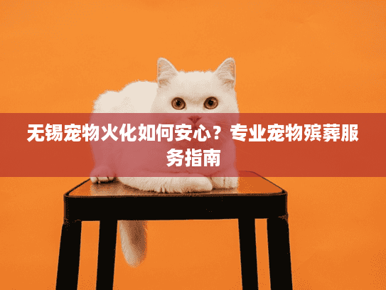 无锡宠物火化如何安心？专业宠物殡葬服务指南