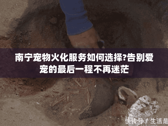 南宁宠物火化服务如何选择?告别爱宠的最后一程不再迷茫