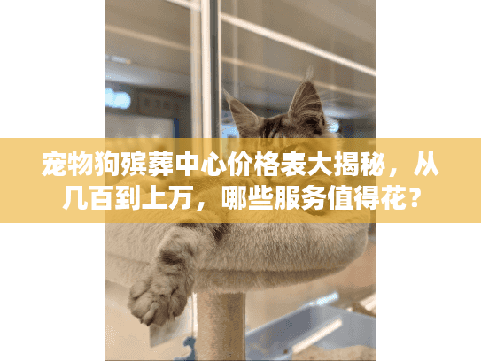 宠物狗殡葬中心价格表大揭秘,从几百到上万,哪些服务值得花? 宠物狗殡葬中心价格表大揭秘,从几百到上万,哪些服务值得花?