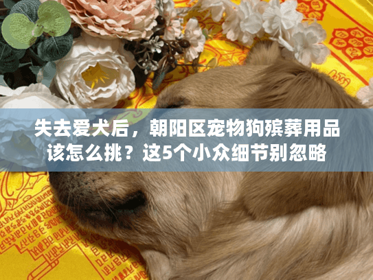 失去爱犬后，朝阳区宠物狗殡葬用品该怎么挑？这5个小众细节别忽略