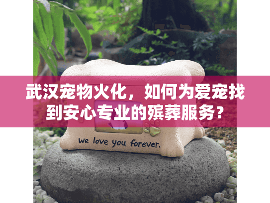 武汉宠物火化，如何为爱宠找到安心专业的殡葬服务？