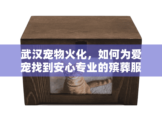 武汉宠物火化，如何为爱宠找到安心专业的殡葬服务？