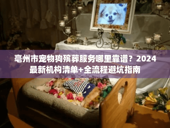 亳州市宠物狗殡葬服务哪里靠谱？2024最新机构清单+全流程避坑指南