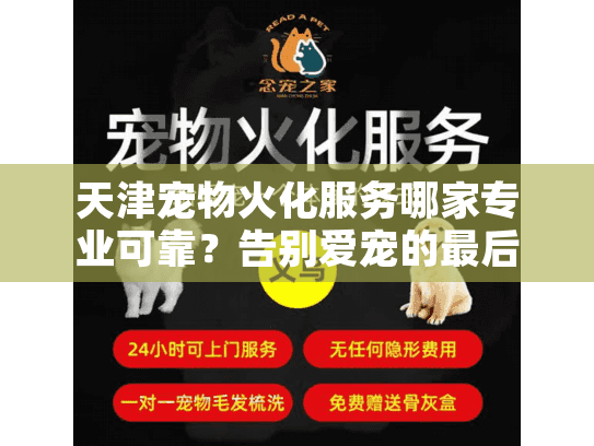 天津宠物火化服务哪家专业可靠？告别爱宠的最后一程该如何安排？