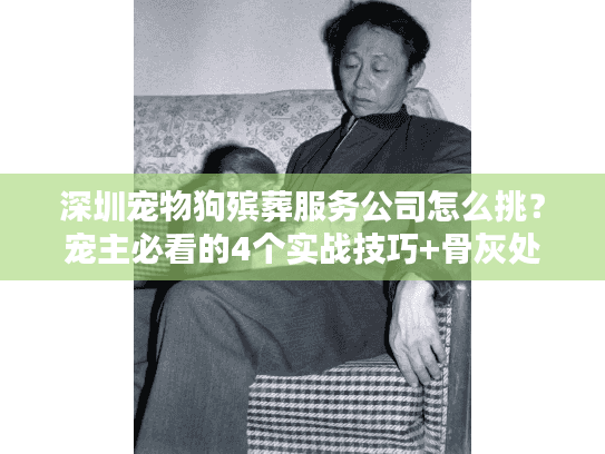 深圳宠物狗殡葬服务公司怎么挑?宠主必看的4个实战技巧+骨灰处理全流程 深圳宠物狗殡葬服务公司怎么挑?宠主必看的4个实战技巧+骨灰处理全流程