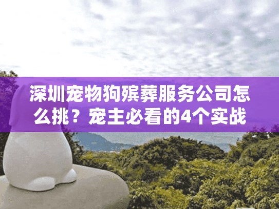 深圳宠物狗殡葬服务公司怎么挑?宠主必看的4个实战技巧+骨灰处理全流程 深圳宠物狗殡葬服务公司怎么挑?宠主必看的4个实战技巧+骨灰处理全流程