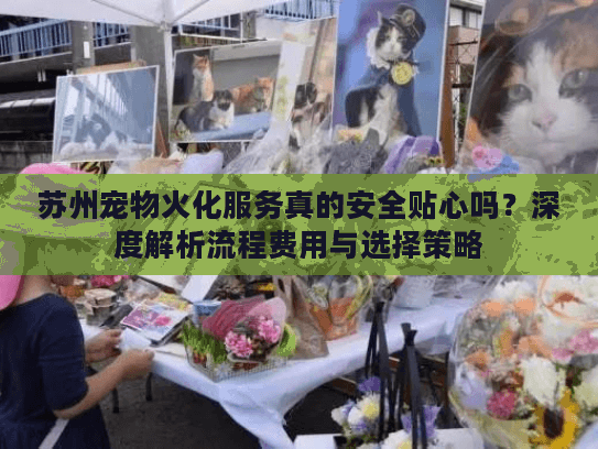 苏州宠物火化服务真的安全贴心吗？深度解析流程费用与选择策略