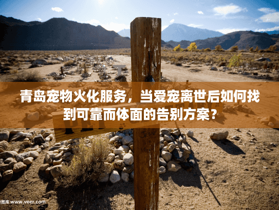 青岛宠物火化服务，当爱宠离世后如何找到可靠而体面的告别方案？